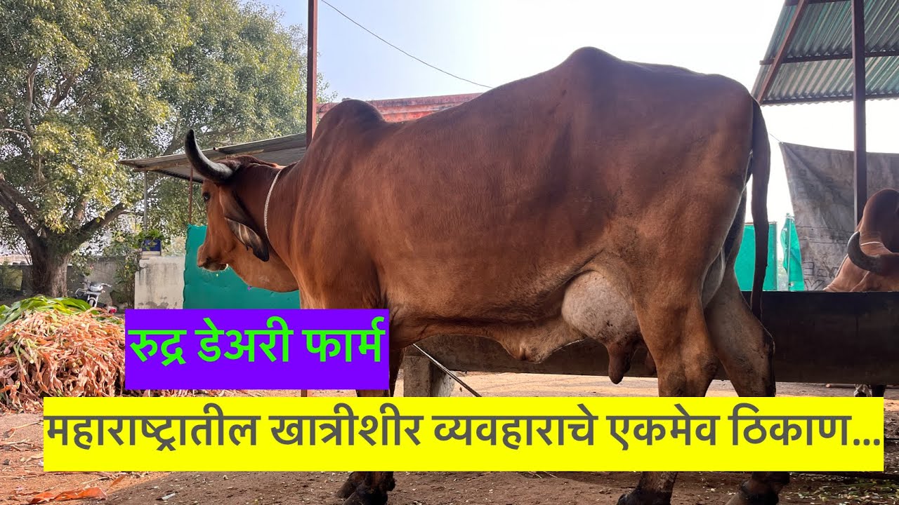 महाराष्ट्रातील खात्रीशीर व्यवहाराचे एकमेव ठिकाण…  