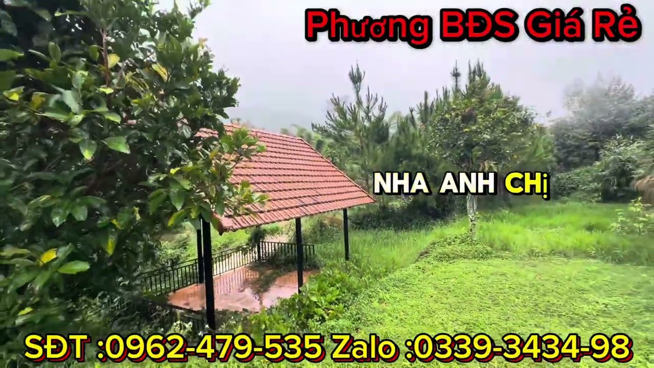 Vườn Sầu Riêng 10 Năm - Măng Cụt - Nằm Cạnh Thác Nước khủng siêu đã mắt ở bảo lộc - Lộc Thành