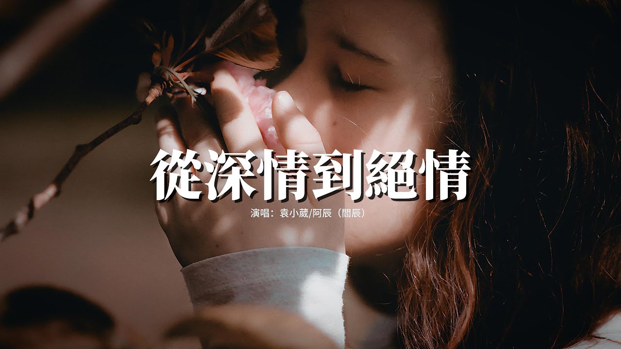 袁小葳/阿辰（閻辰）- 從深情到絕情『你從滿懷真心 到最後揮手變心，你出現又消失我四季 留給我無盡回憶。』【動態歌詞MV】