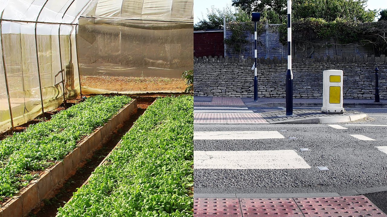 How we can eat our landscapes | Pam Warhurst