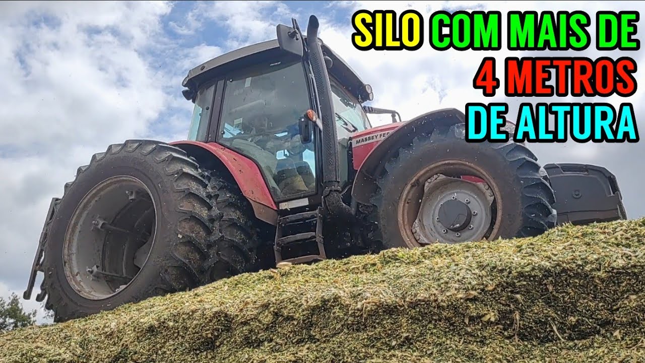 Monte de SILAGEM em cima da terra, será que é bom? (Dia de silagem)