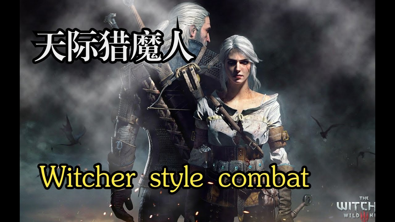 Witcher in Skyrim&mdash;&mdash;witcher style combat