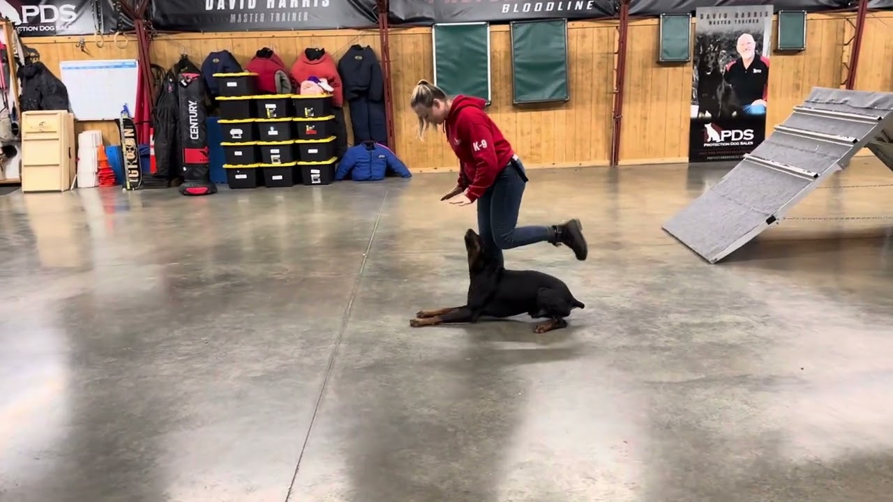 Athletic FUN 