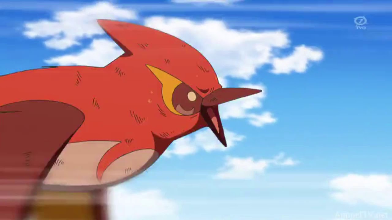 Talonflame - Pokemon [AMV] - Natural