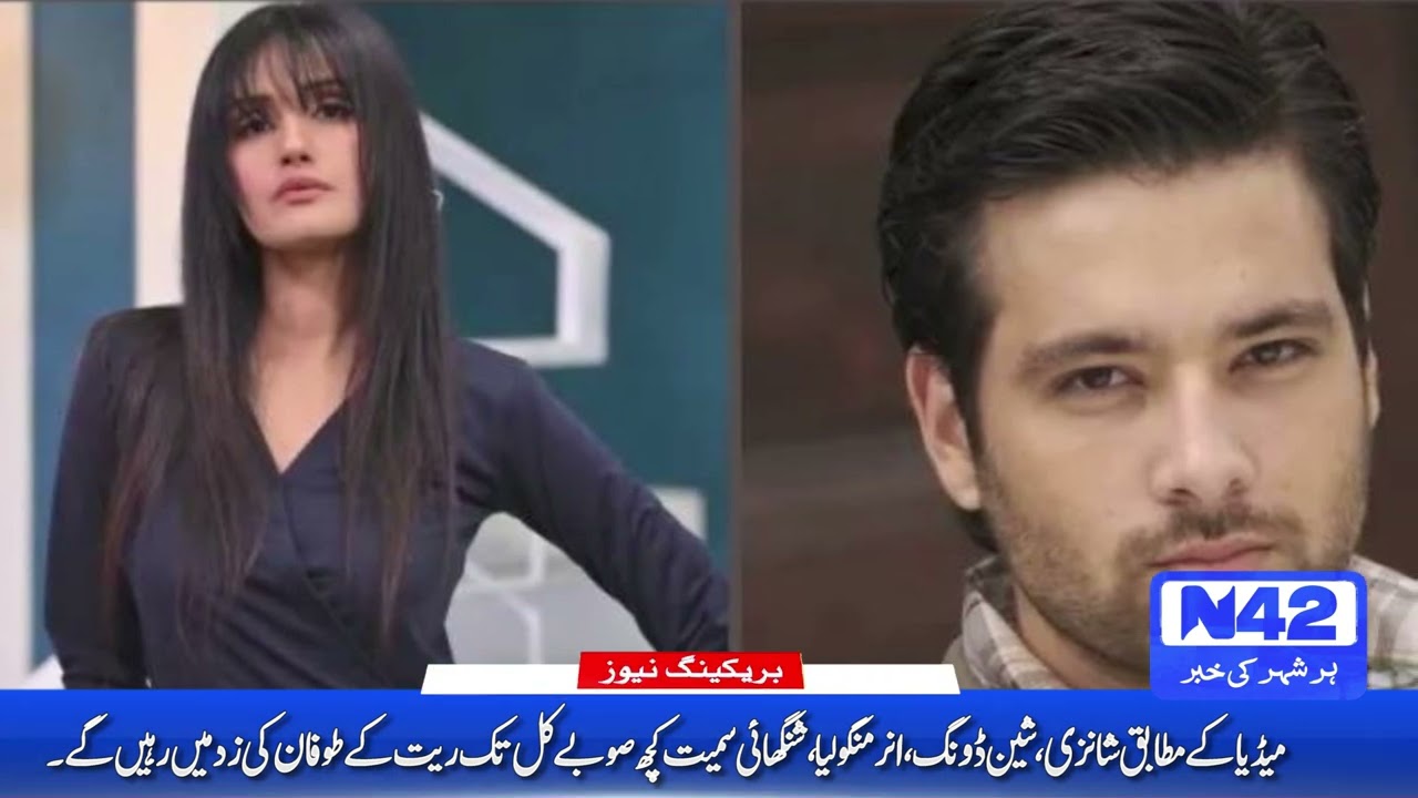 Zara Sheikh denied the link with Mikal Zulfiqar |N42 Media