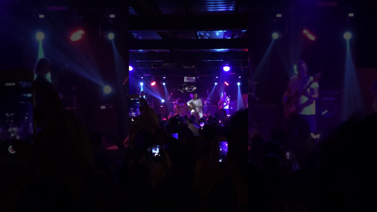 Çelik Hercai - Konser