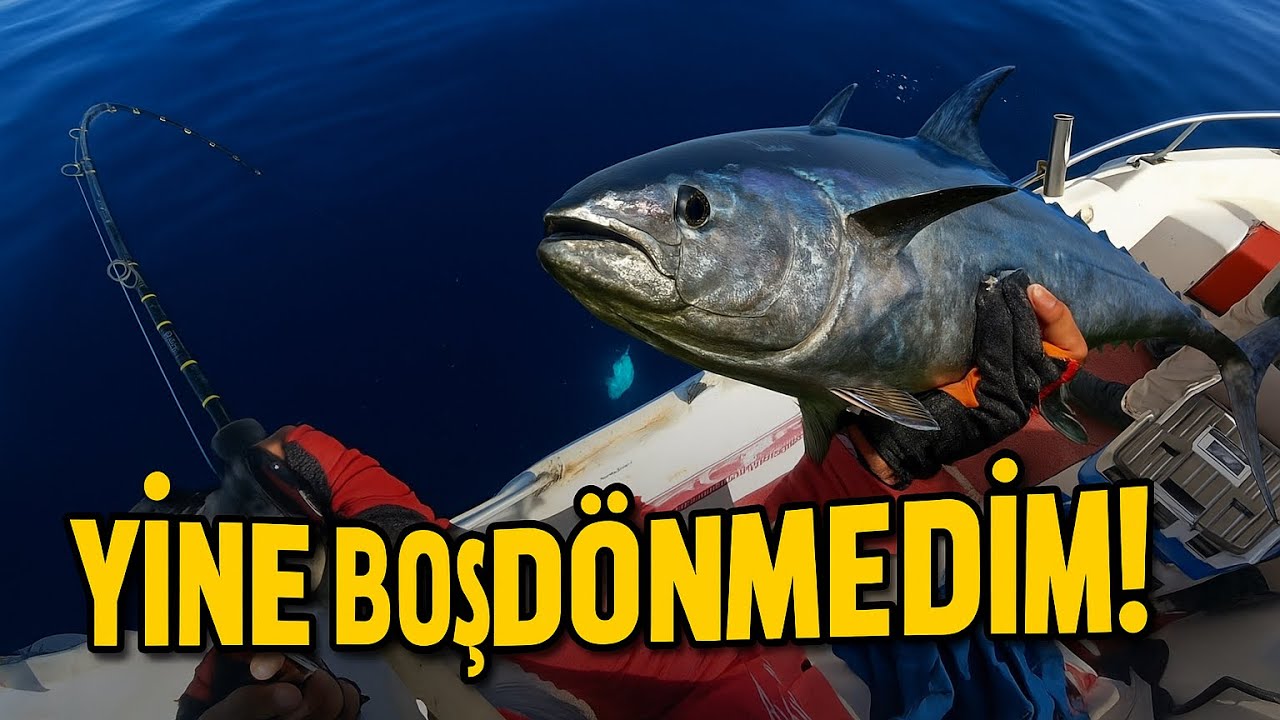 Bu Jig Beni Hiç Yarı Yolda Bırakmadı! Aksiyon Dolu Av 🔥🐟#balıkavı #fishing #fish 