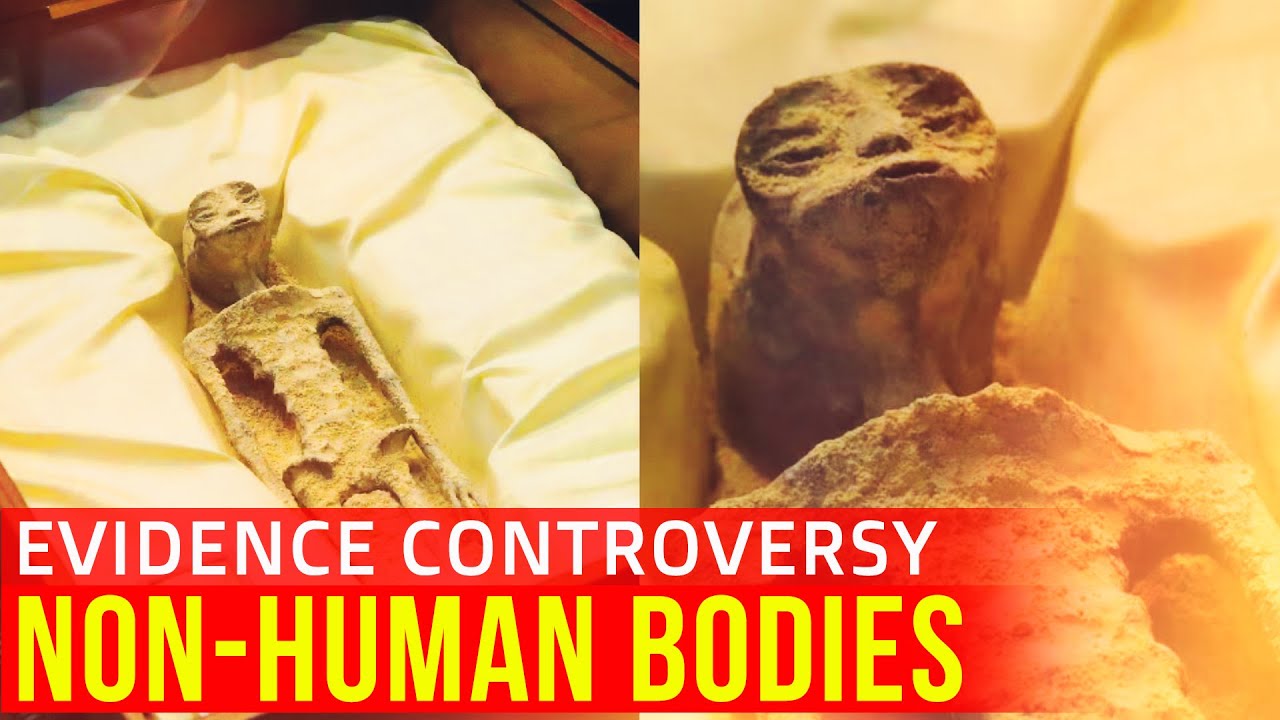 ALIEN BODIES - Discussion of Mexico UFO Hearing