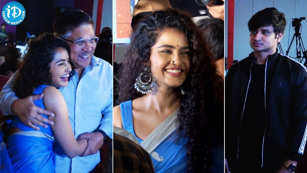 Nikhil, Anupama Visuals @ 18 Pages Press Meet | Sukumar | Allu Aravind | Gopi Sundar | Bunny Vas
