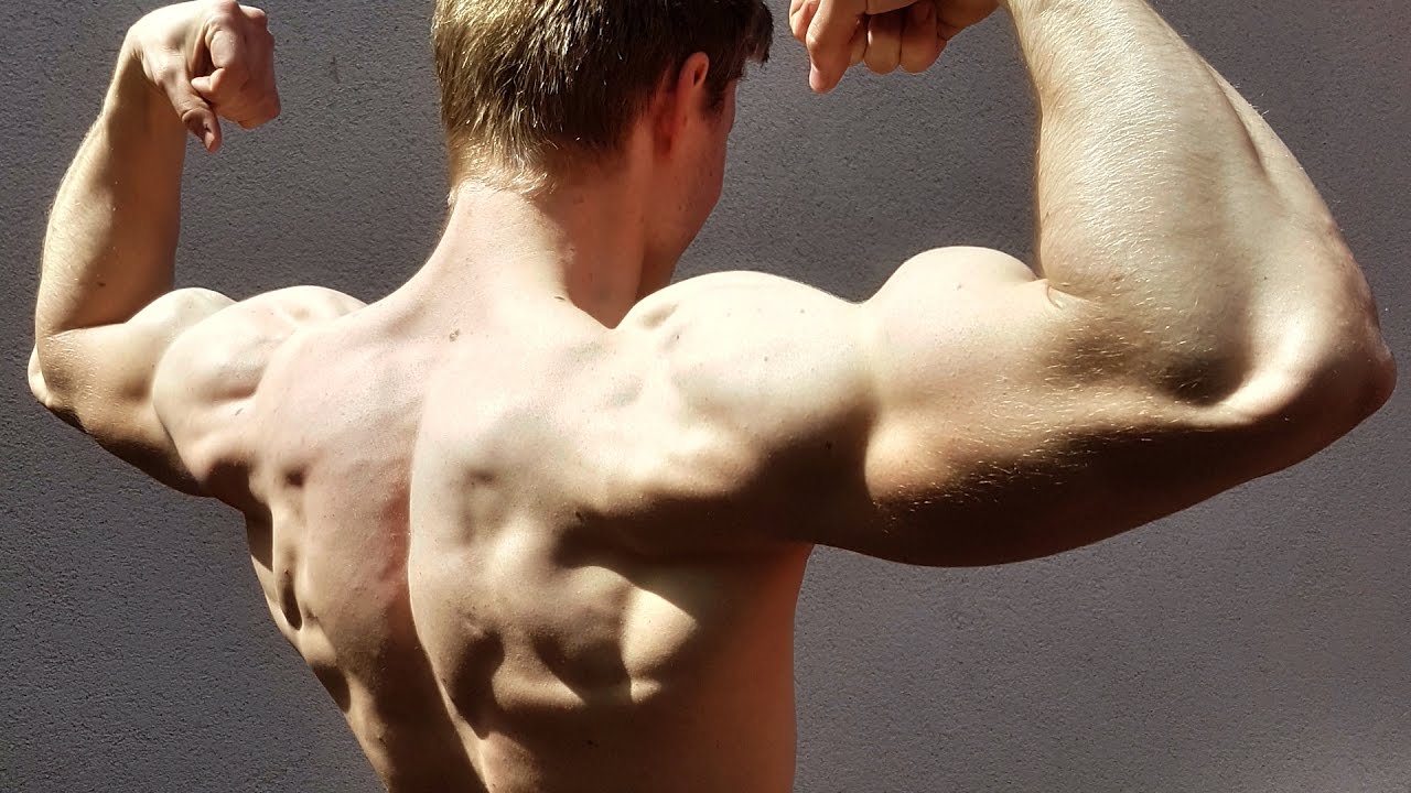 Calisthenics Workout Routine - Back & Biceps