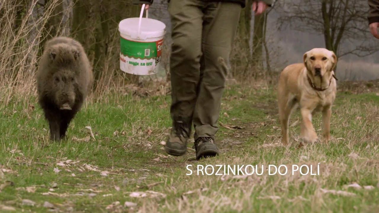 S Rozinkou do polí