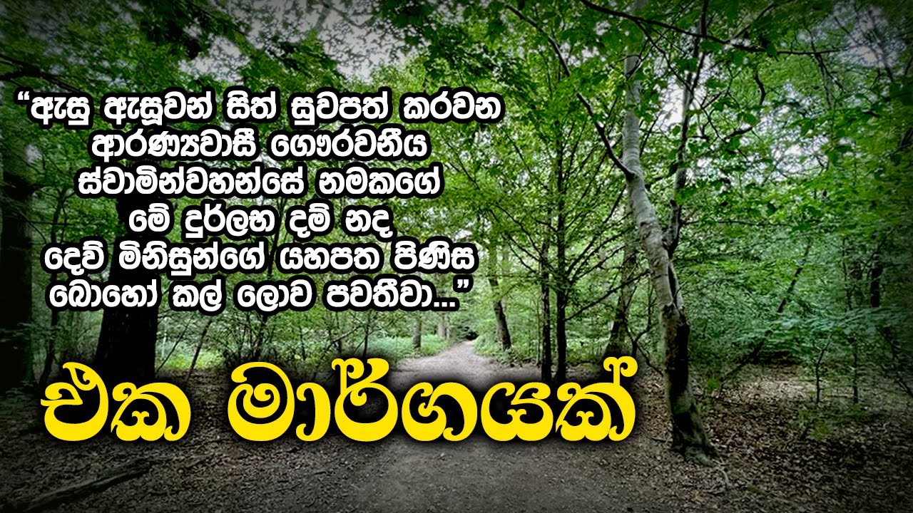 එක මාර්ගයක් | Samma Ditthi UK