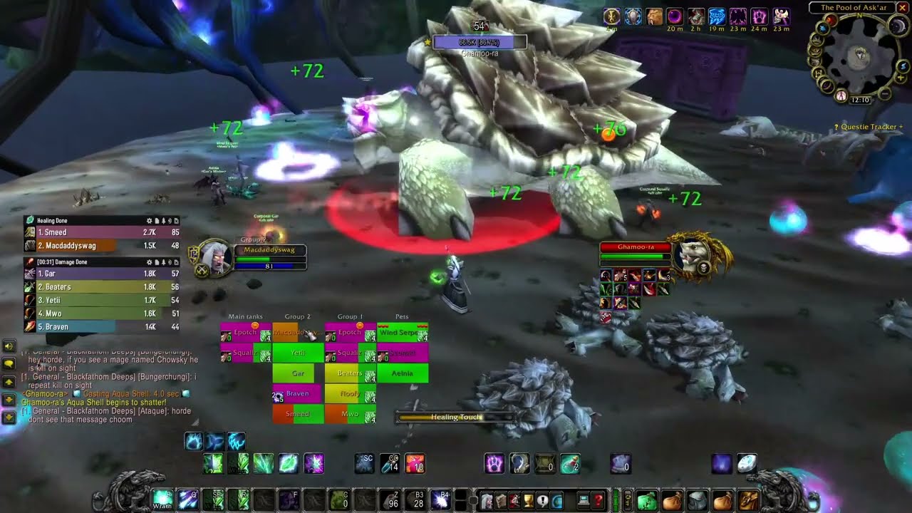 Some Chill SOD Resto Druid BFD