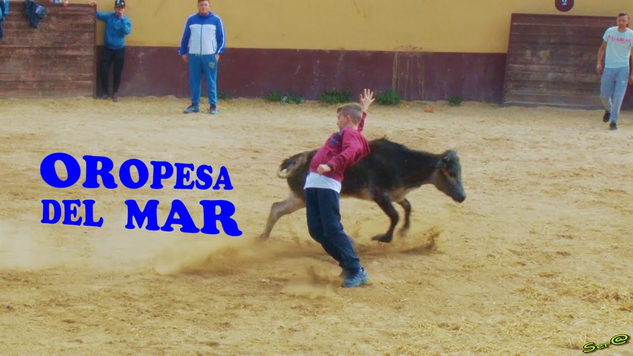 ✅ 2019 Oropesa del Mar 16 CAPEA Ganaderia de Toros Alberto Garrido