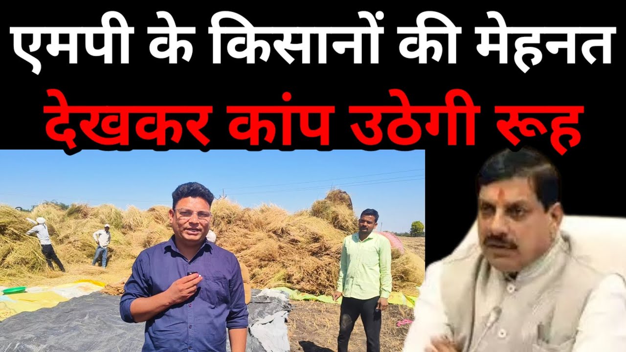 Madhya Pradesh के किसानों की मेहनत देख कांप उठेगी रूह! क्या CM Mohan Yadav करेंगे सुनवाई! MP News