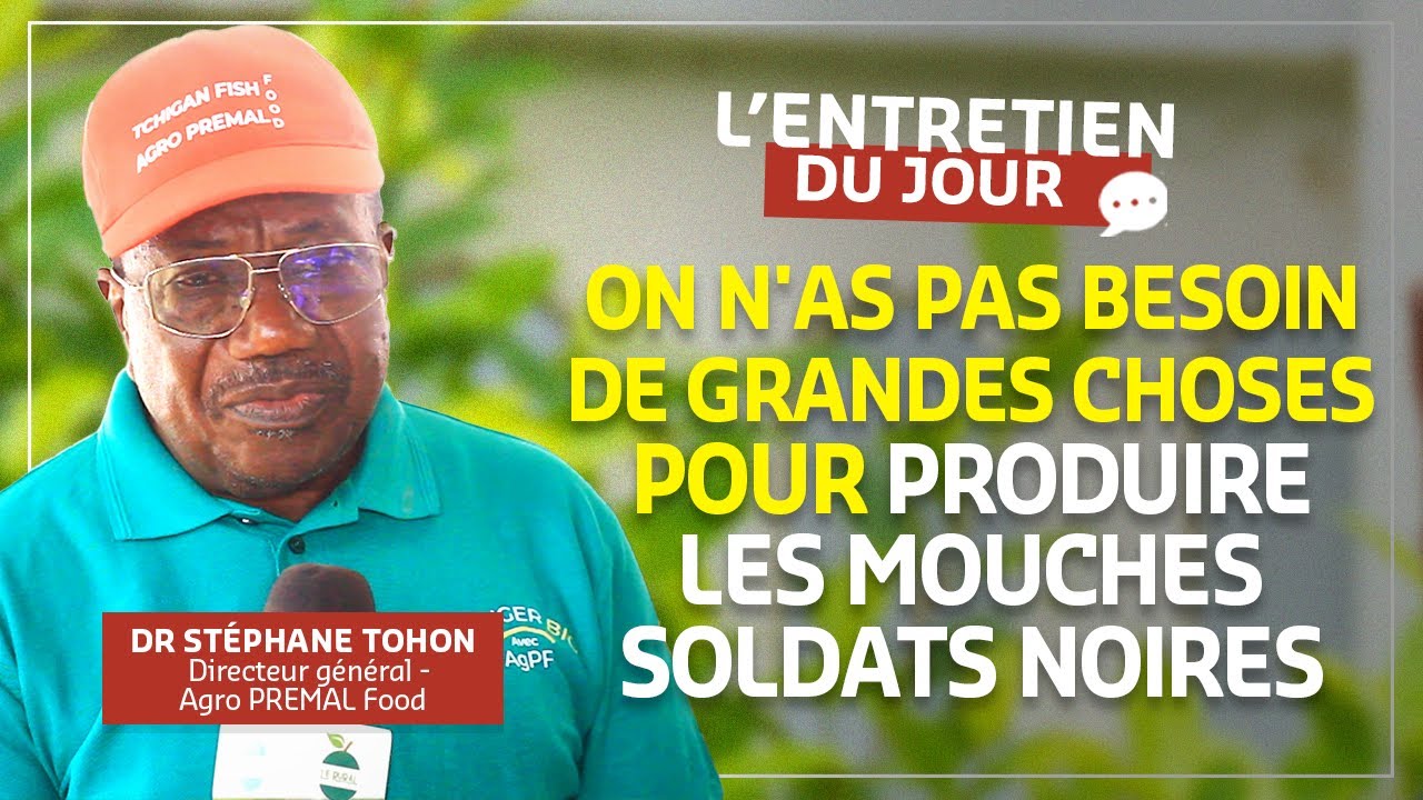 MOUCHES SOLDATS NOIRES : DES INSECTES AUX MILLE POTENTIELS