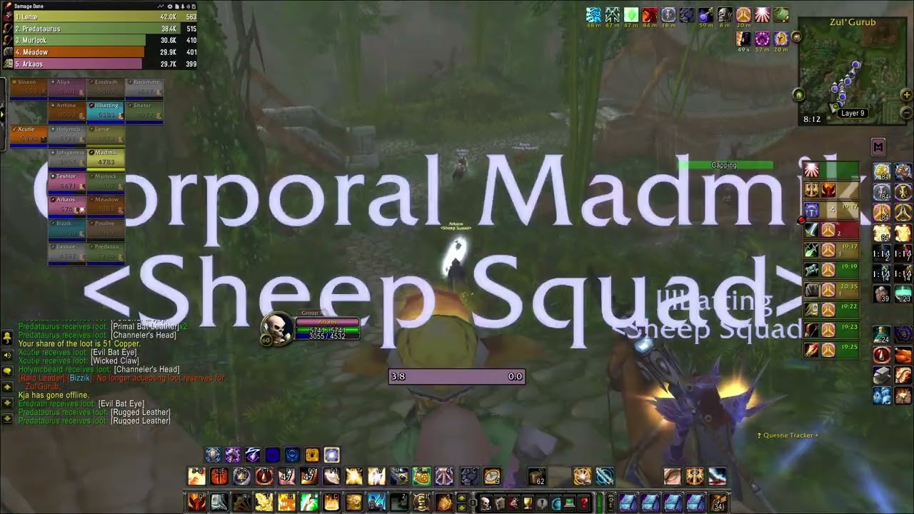 WoW Classic Anniversary Zul Gurub ret pally pov