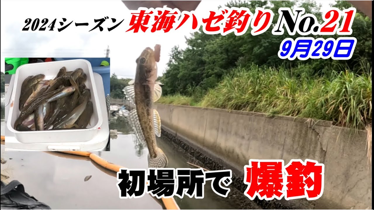 初めての釣り場で爆釣　名古屋港湾奥　2024年ハゼ釣り21