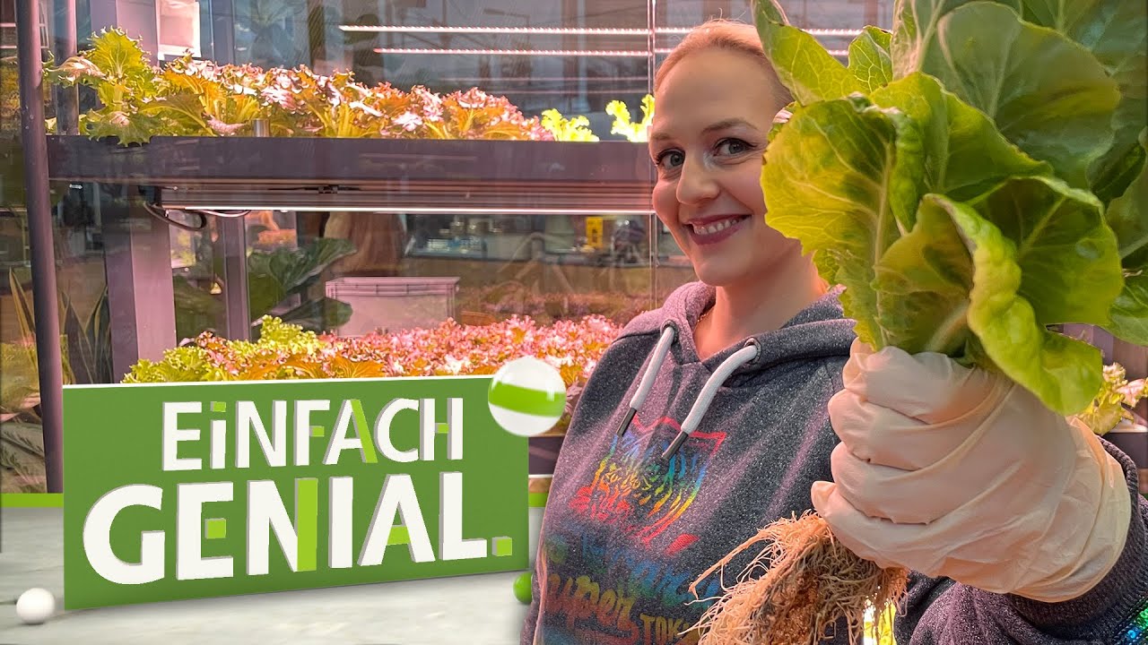 VERTICAL FARMING – Restaurant und Anbaufläche in einem | Einfach genial | MDR