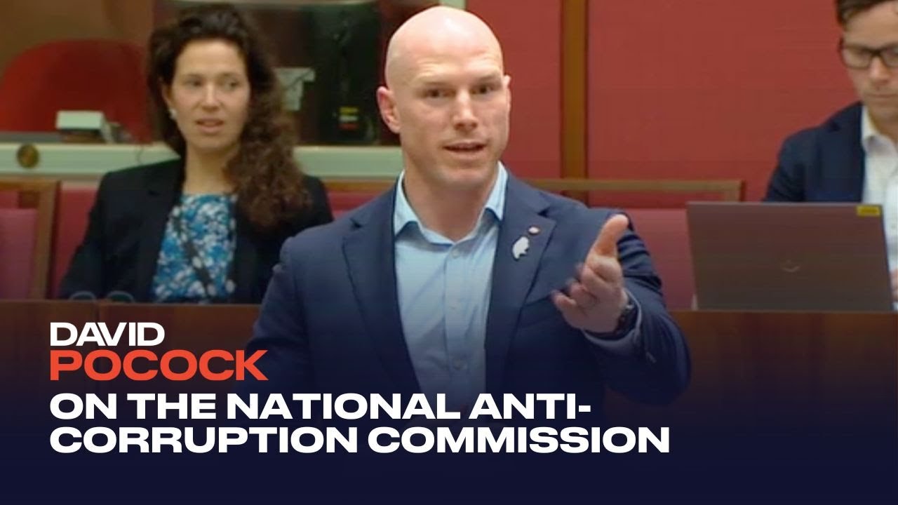 David Pocock - 29 November 2022 - the national anti-corruption commission - committee of the whole