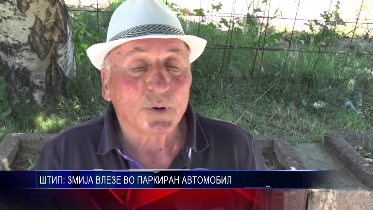 ШТИП ЗМИЈА ВЛЕЗЕ ВО ПАРКИРАН АВТОМОБИЛ 10 06 2017