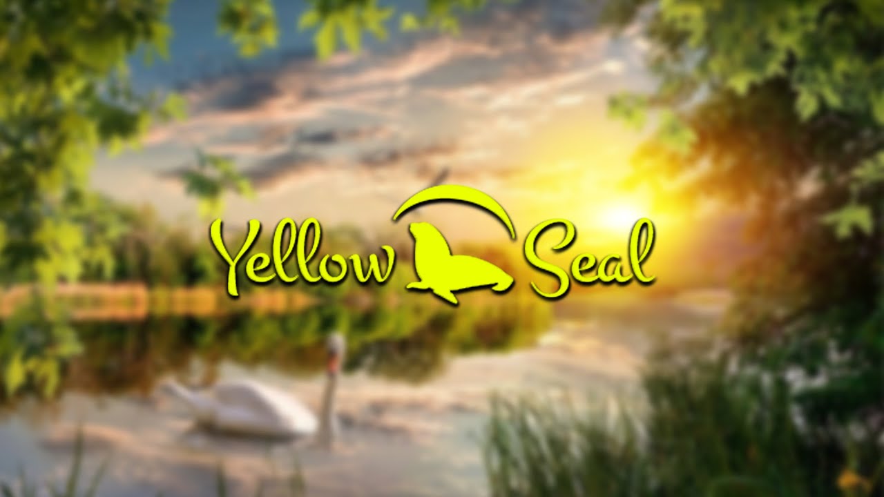 Bog Oak Wood | Yellow Seal