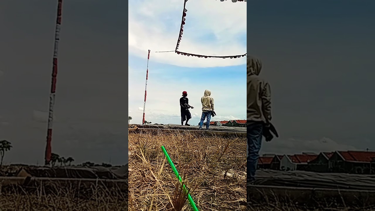 merpati lovers Brebes 