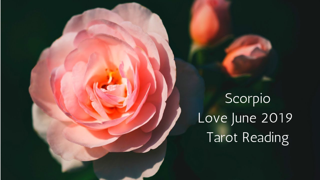 Scorpio June 2019 // An Unexpected Love // Love Tarot Reading