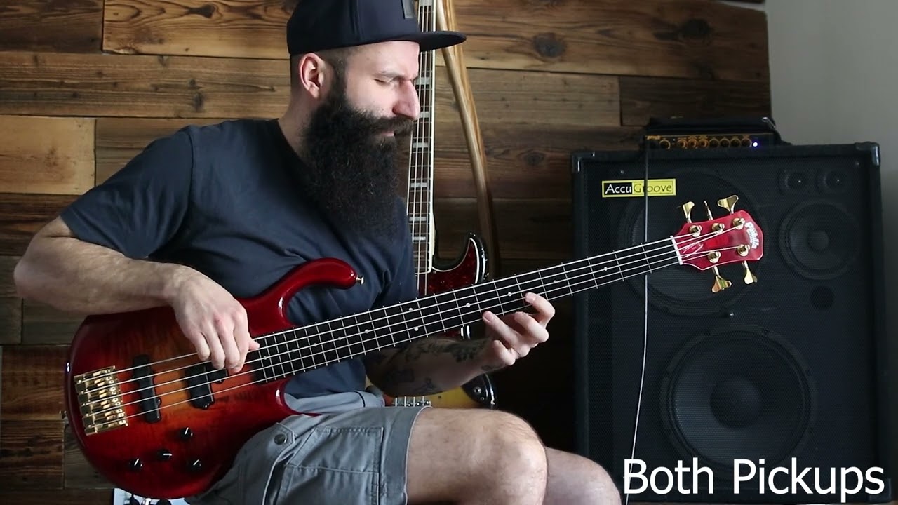 Pedulla MV5 Penta Buzz Fretless