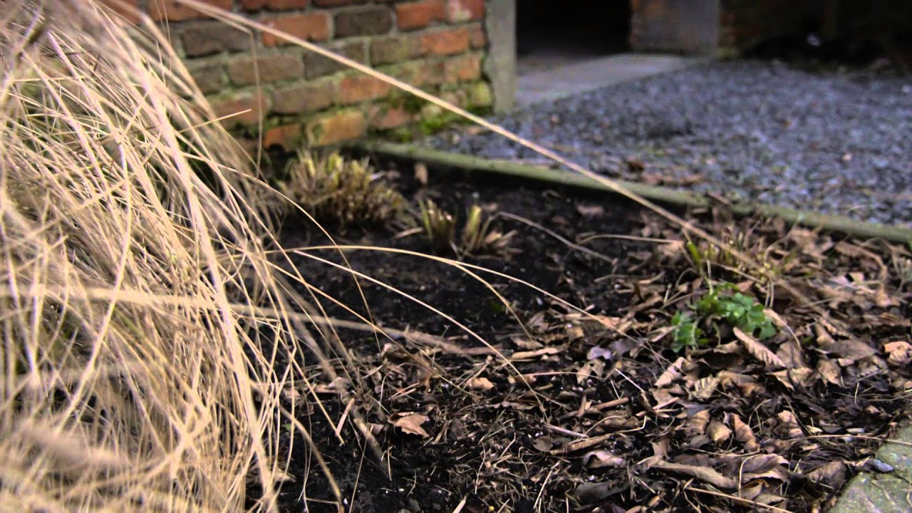 [#Teidentificeren] Moord op Sofie D'Hondt