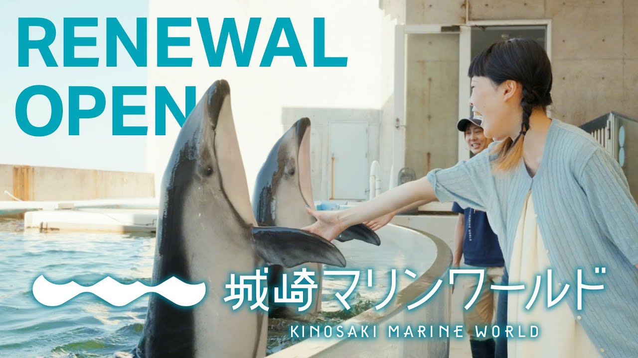 あなたと生きものたちを、つなげます。｜ 城崎マリンワールド RENEWAL OPEN