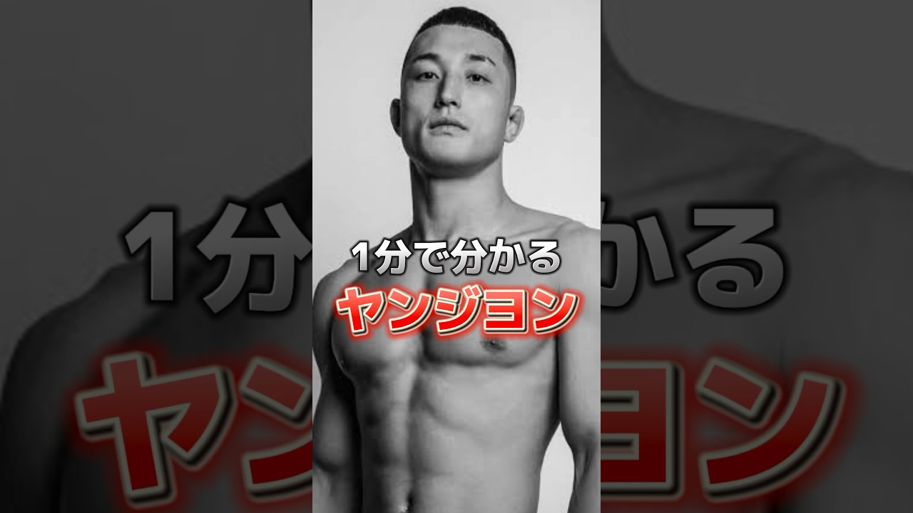 1分で分かるヤンジヨン【RIZIN】