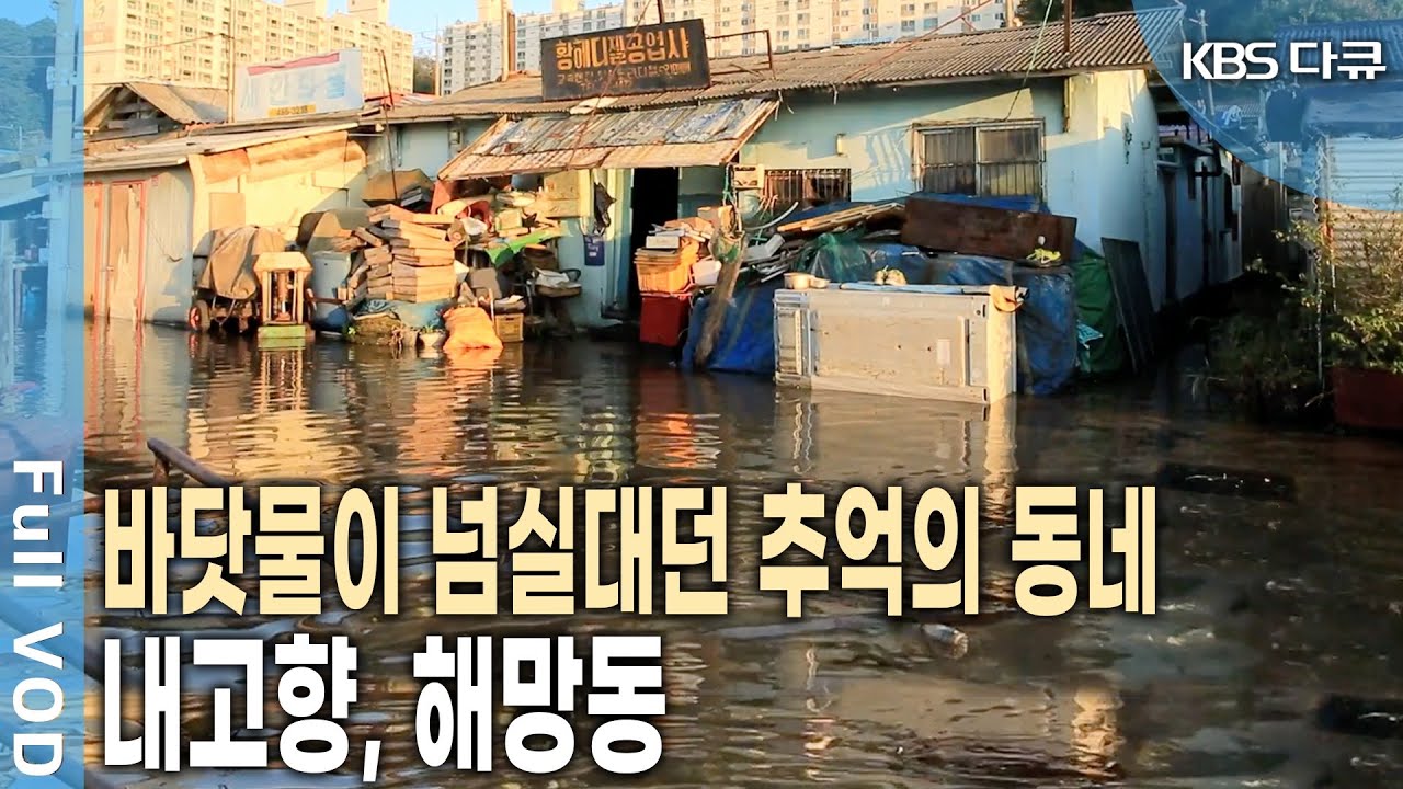 바닷물이 높아지면 대문까지 잠긴다!  해망동 999번지를 아시나요? (KBS 20150927 방송)