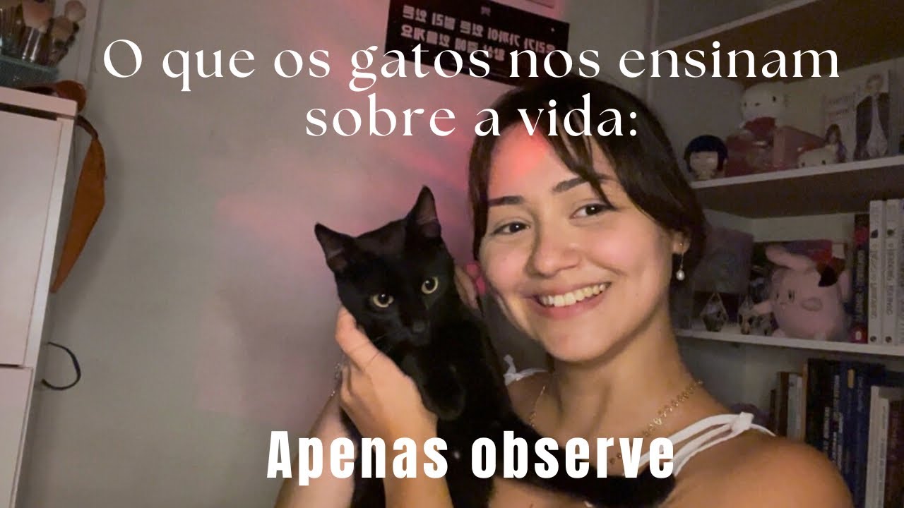 OQUE OS GATOS NOS ENSINAM SOBRE A VIDA| cap.1  Apenas Observe.| Um guia pra estar presente