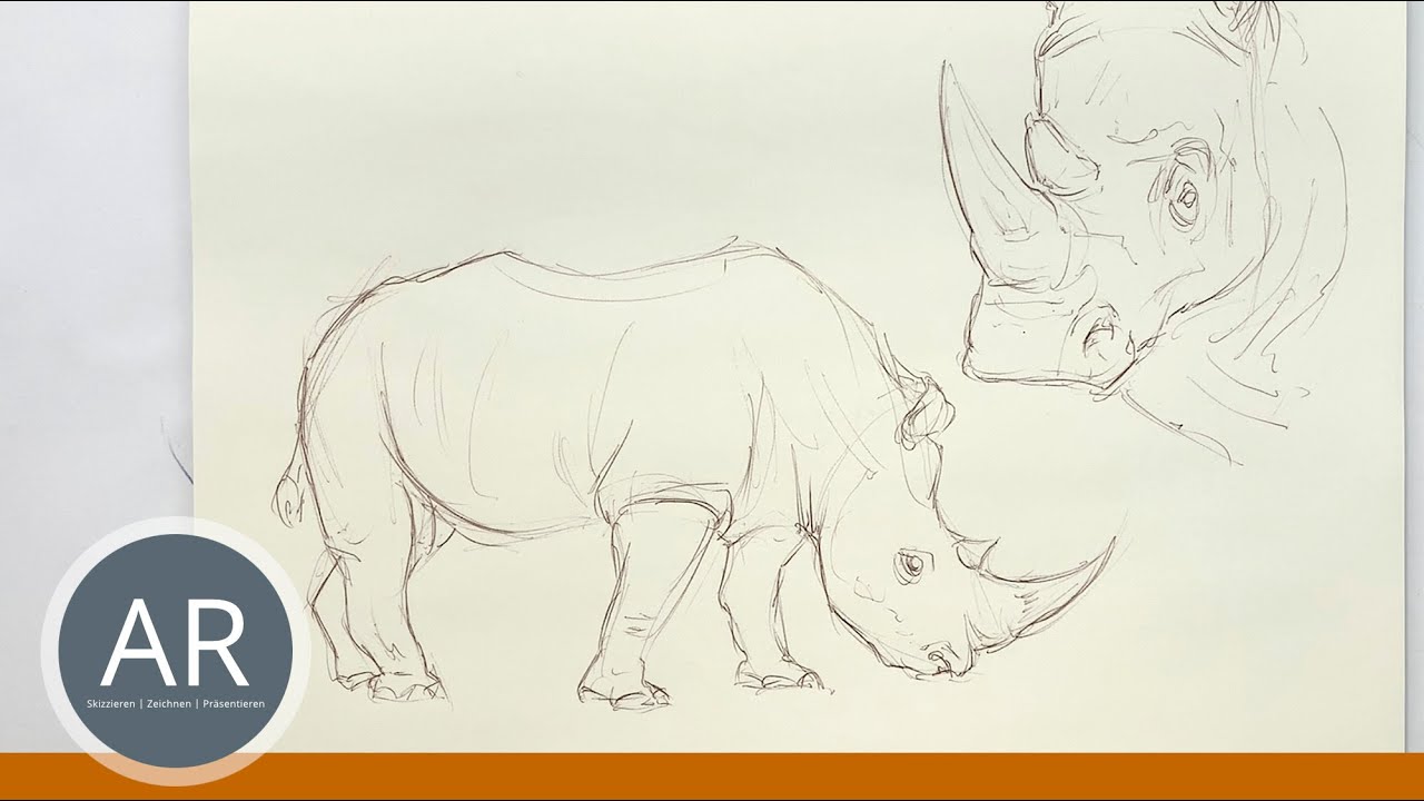 Einfach Tiere zeichnen, Tier-Skizzen, Tier-Illustration, Zeichnenkurs, Kunst Mappenvorbereitungskurs