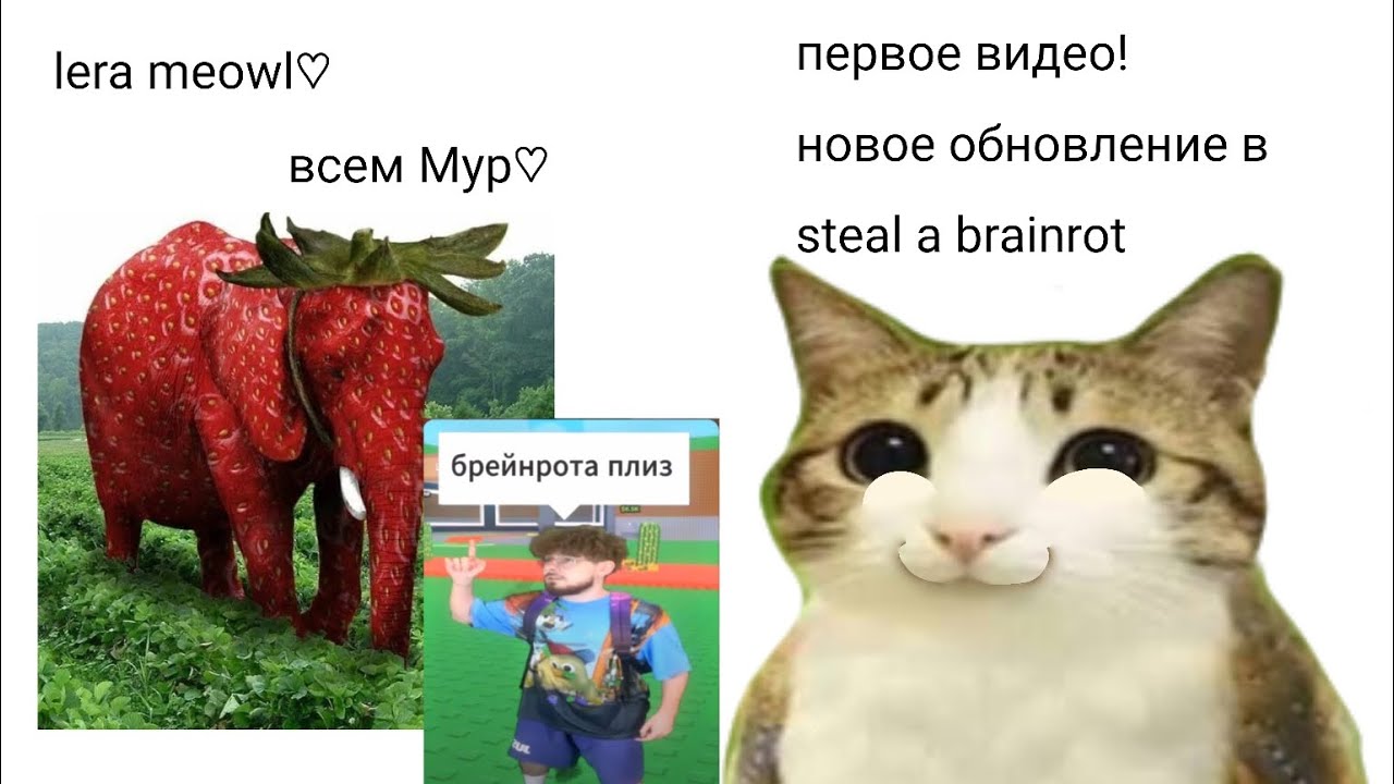 Новое обновление в steal a brainrot? 