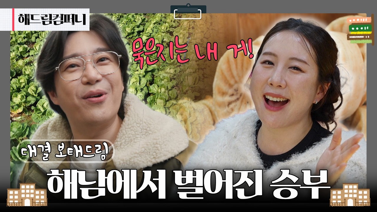 [대결 보태드림] 전통시장부터 가족어울림센터까지! 해남의 매력을 파헤치다  | 260213 KBS 해드림컴퍼니