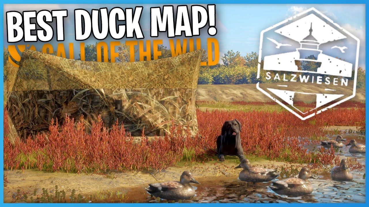 This Map Is PERFECT For Duck Hunting! | Call Of The Wild (New DLC)