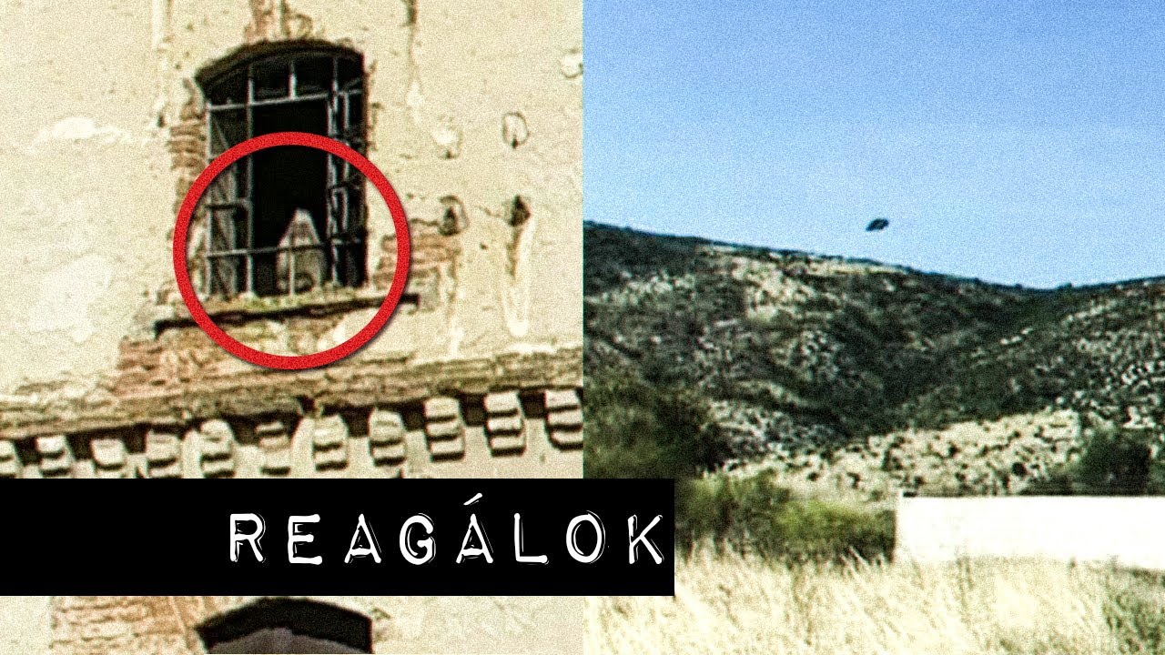 Reag&aacute;lok a n&eacute;zőim PARA vide&oacute;ira/k&eacute;peire #7