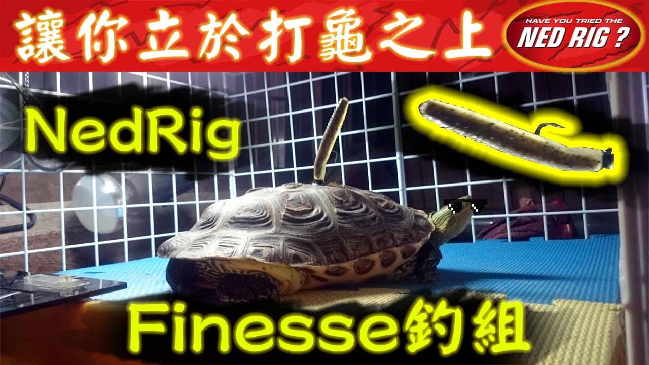 打龜終結，NedRig【內德釣組】你試過了嗎?/路亞