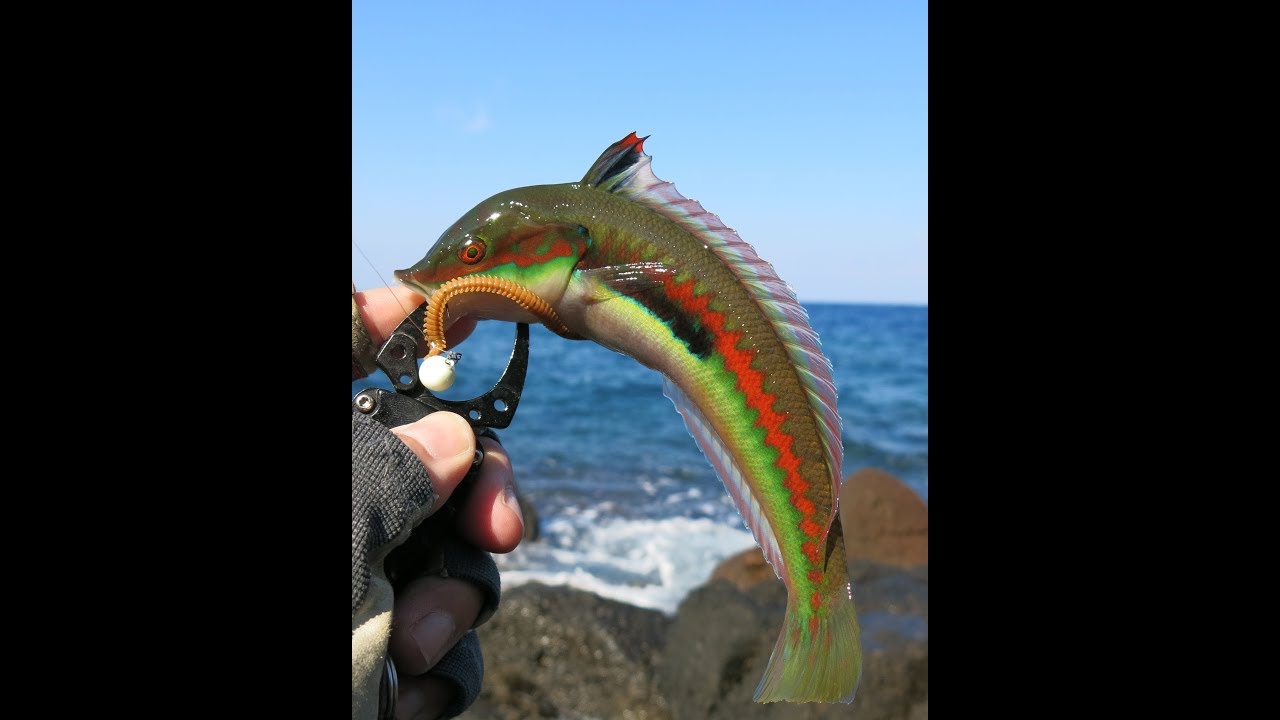 LRF with Biodegradable Lures. LRF με βιοδιασπώμενα δολώματα - τεχνικές.