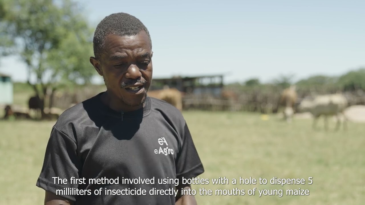 Beating Fall Armyworm: John’s Recovery Journey with eAgro