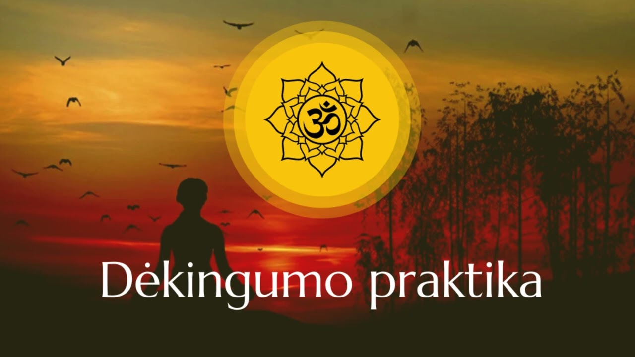 Gausos dėkingumo praktika #gausa #dėkingumas