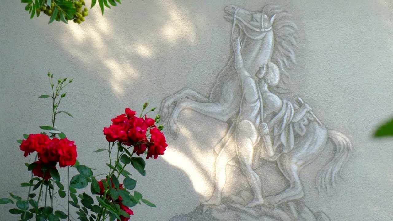 Mauerblumen