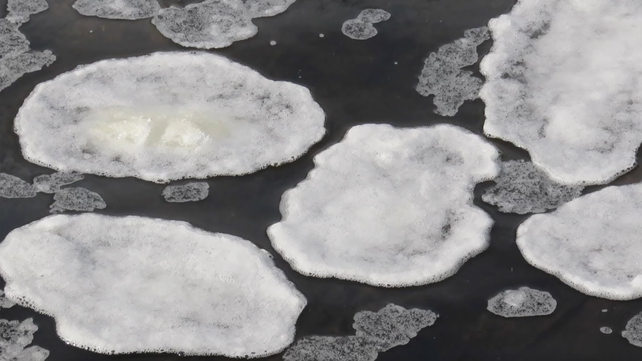 Ice Pancakes Floating Near the Local Dam – Rare Winter Magic!