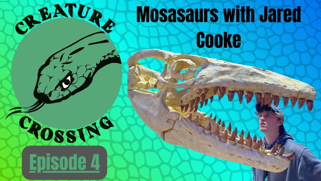 Mosasaurs with Jared Cooke - Creature Crossing Podcast #4