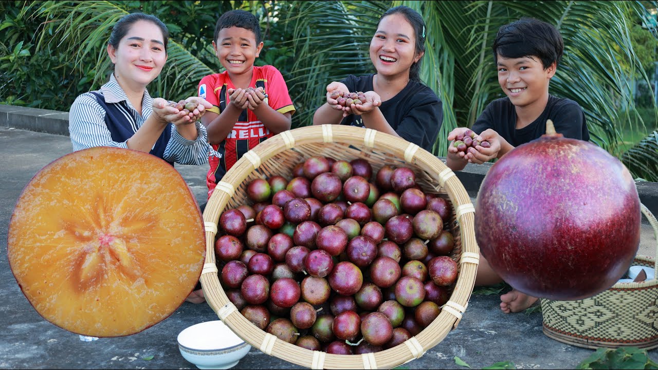 Pick And Eat Governor Plum Fruit at The Top Of My House - Governor Plum Fruit Eating Spicy Chili