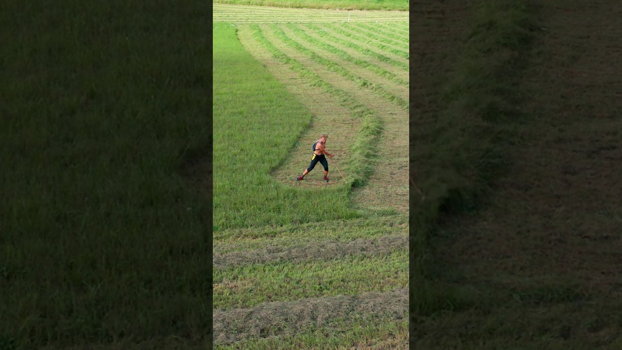 Scything 40 hectares ✅ (100 acres)