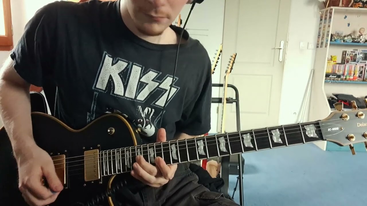 take a look around by limp bizkit guitare and basse cover