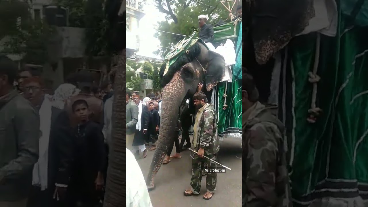 live at Bibi ka alam #muharram #hyderabad #shia #karbala #iran #iraq #elephant #muharram2022 #alam